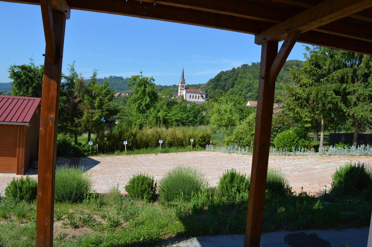 Chambres D'Hotes Les Vignes Saint-Jean-Saverne Esterno foto