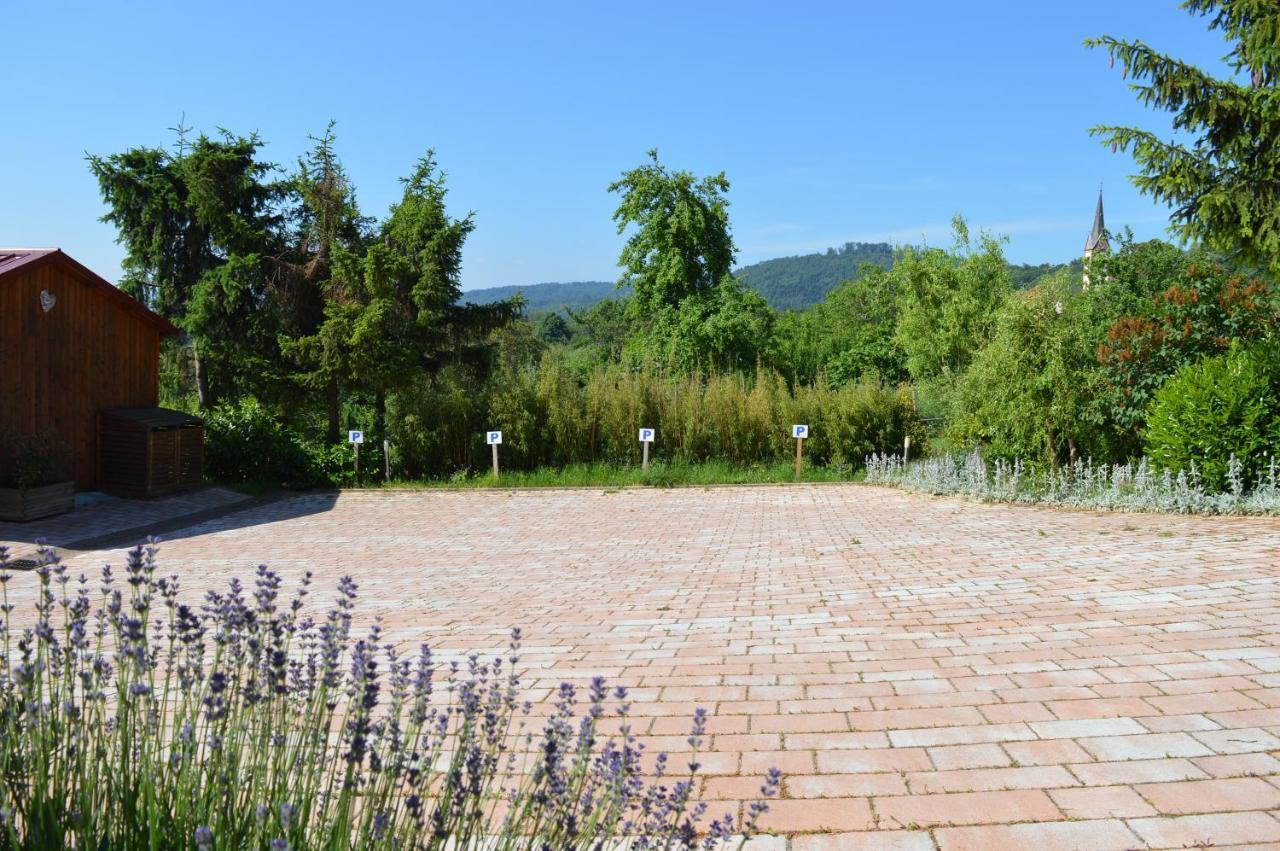 Chambres D'Hotes Les Vignes Saint-Jean-Saverne Esterno foto