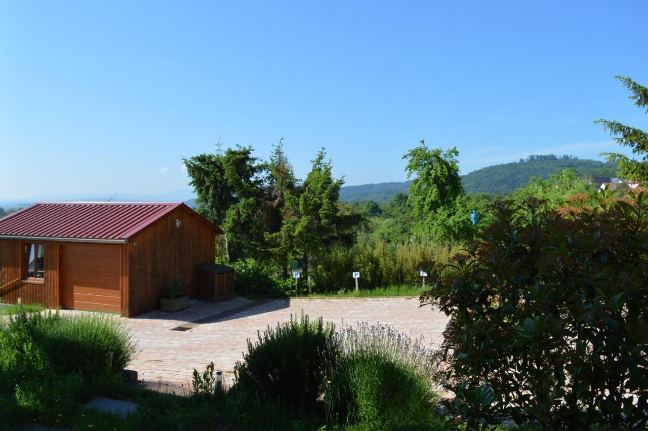 Chambres D'Hotes Les Vignes Saint-Jean-Saverne Esterno foto